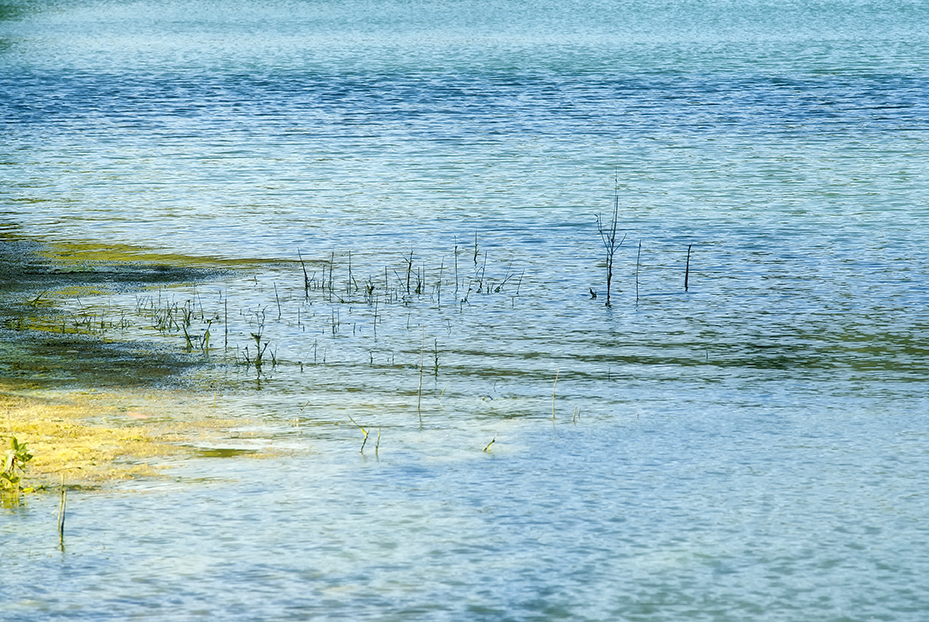 Sguardo sul lago