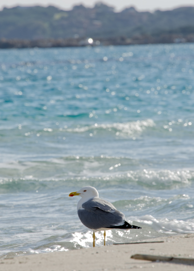 Sguardo sul Mare