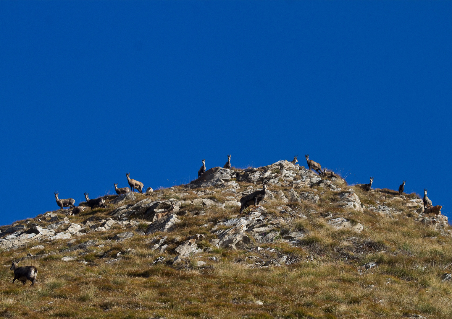 Sguardo verso il cielo