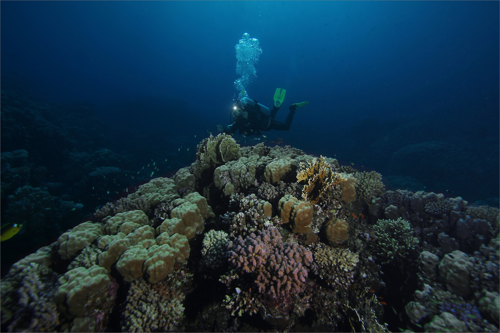 Shaab Marsa Alam (Nordteil)