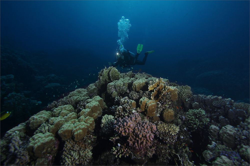 Shaab Marsa Alam (Nordteil)