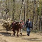 Shaanxi-Bauern im Lössplateau