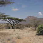 Shaba Kenia