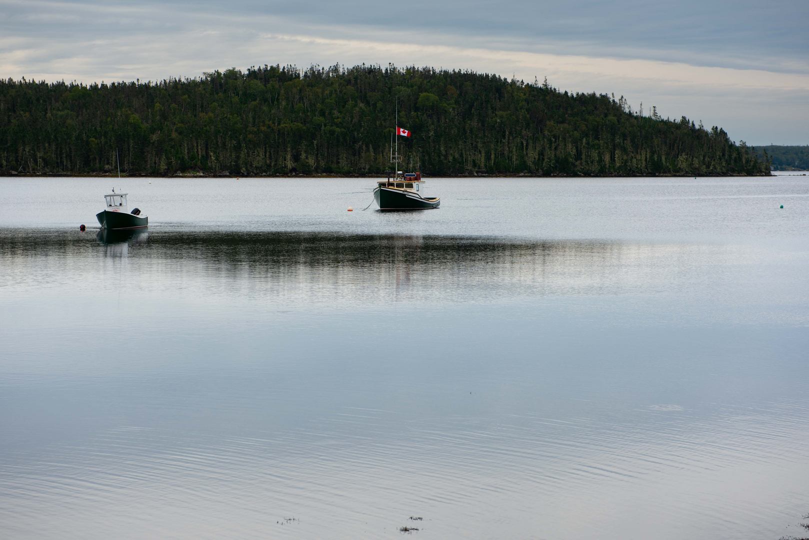 Shad Bay.                           DSC_6246