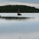 Shad Bay.                           DSC_6246