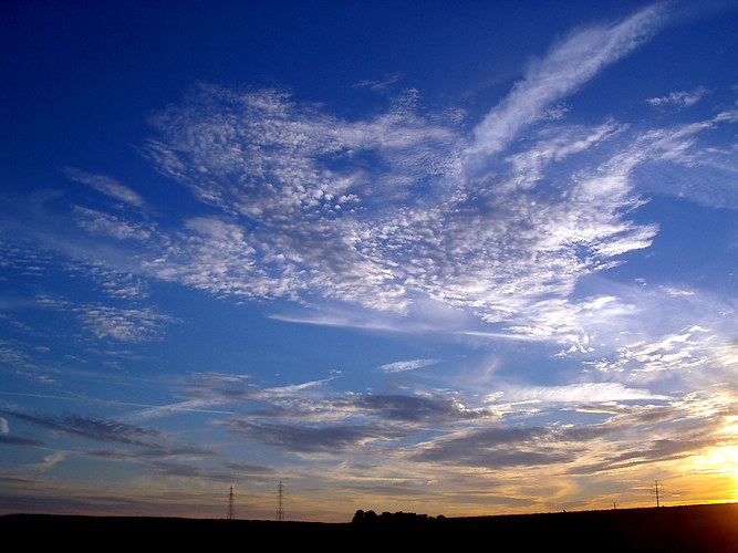 ° Shades of Blue°