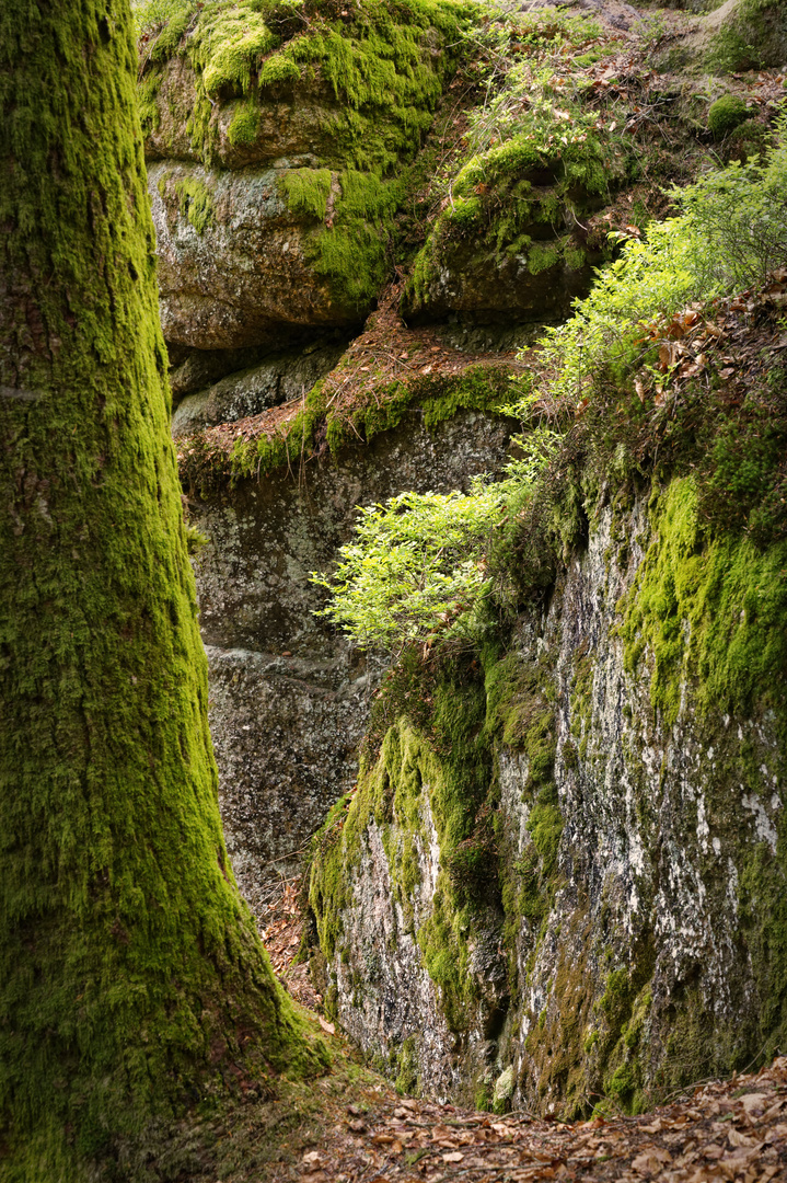 Shades of green