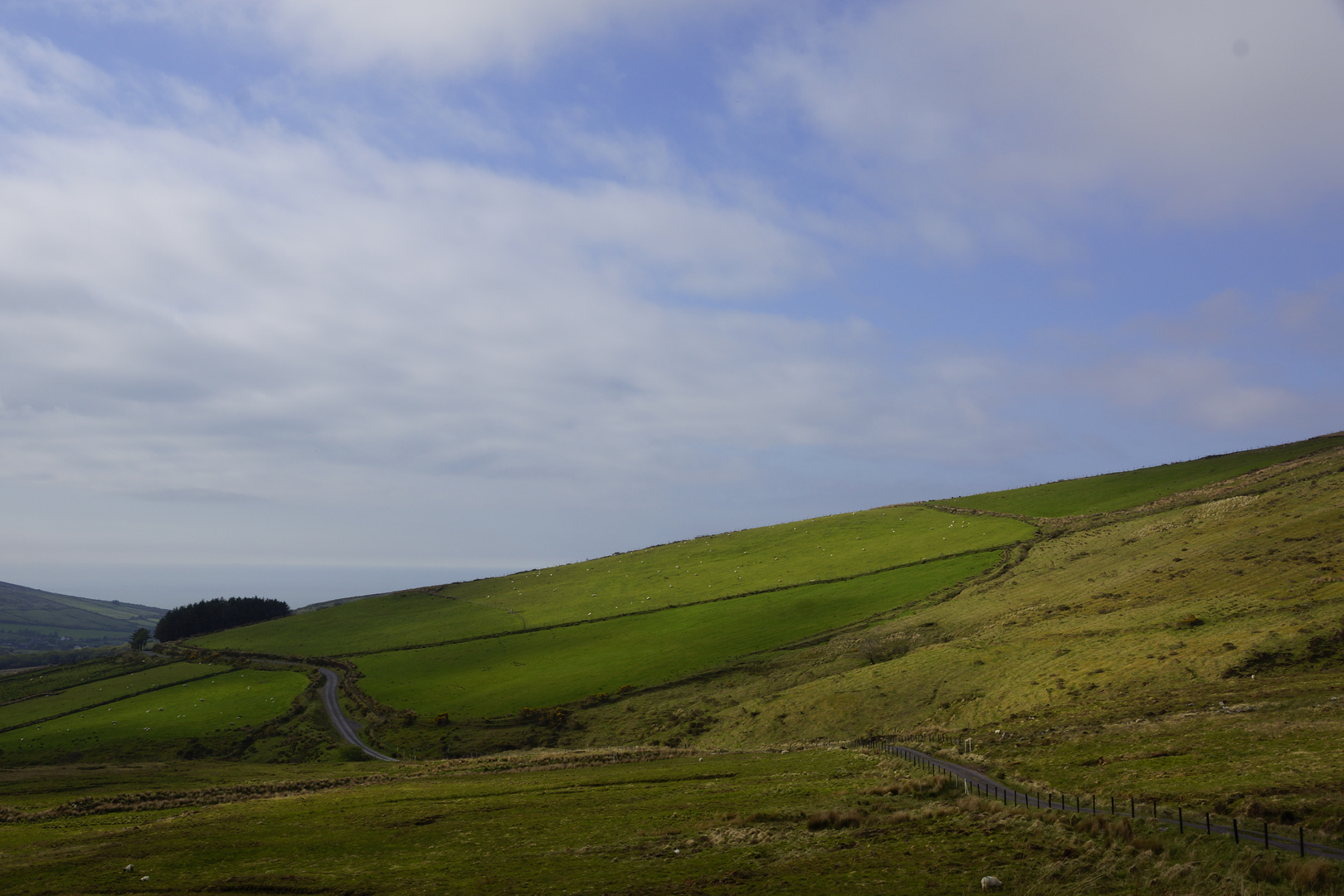 Shades of Green