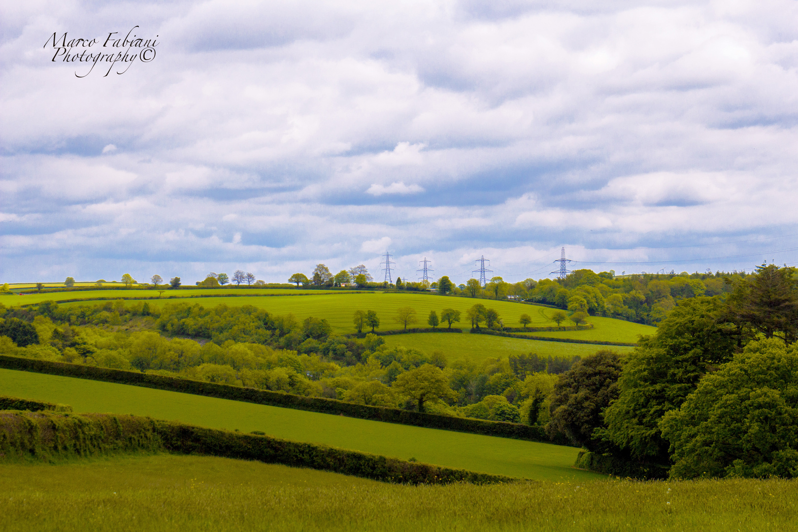 Shades of green