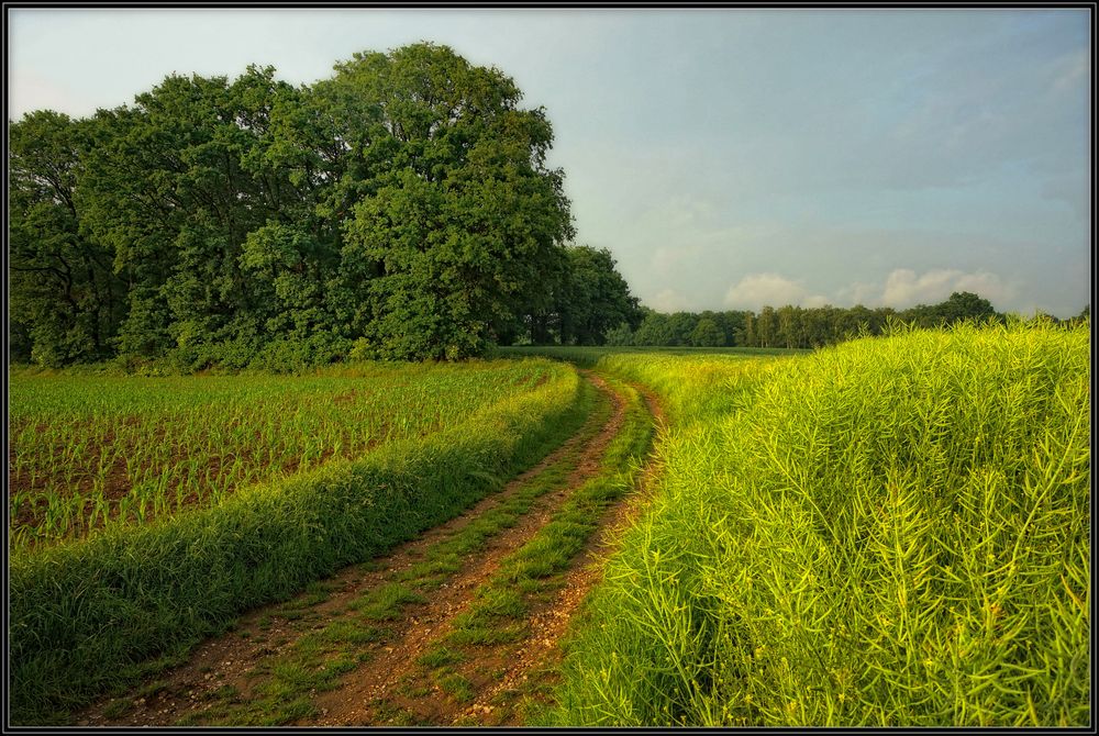 Shades of green