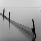 Shades of Grey am IJsselmeer