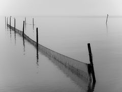 Shades of Grey am IJsselmeer