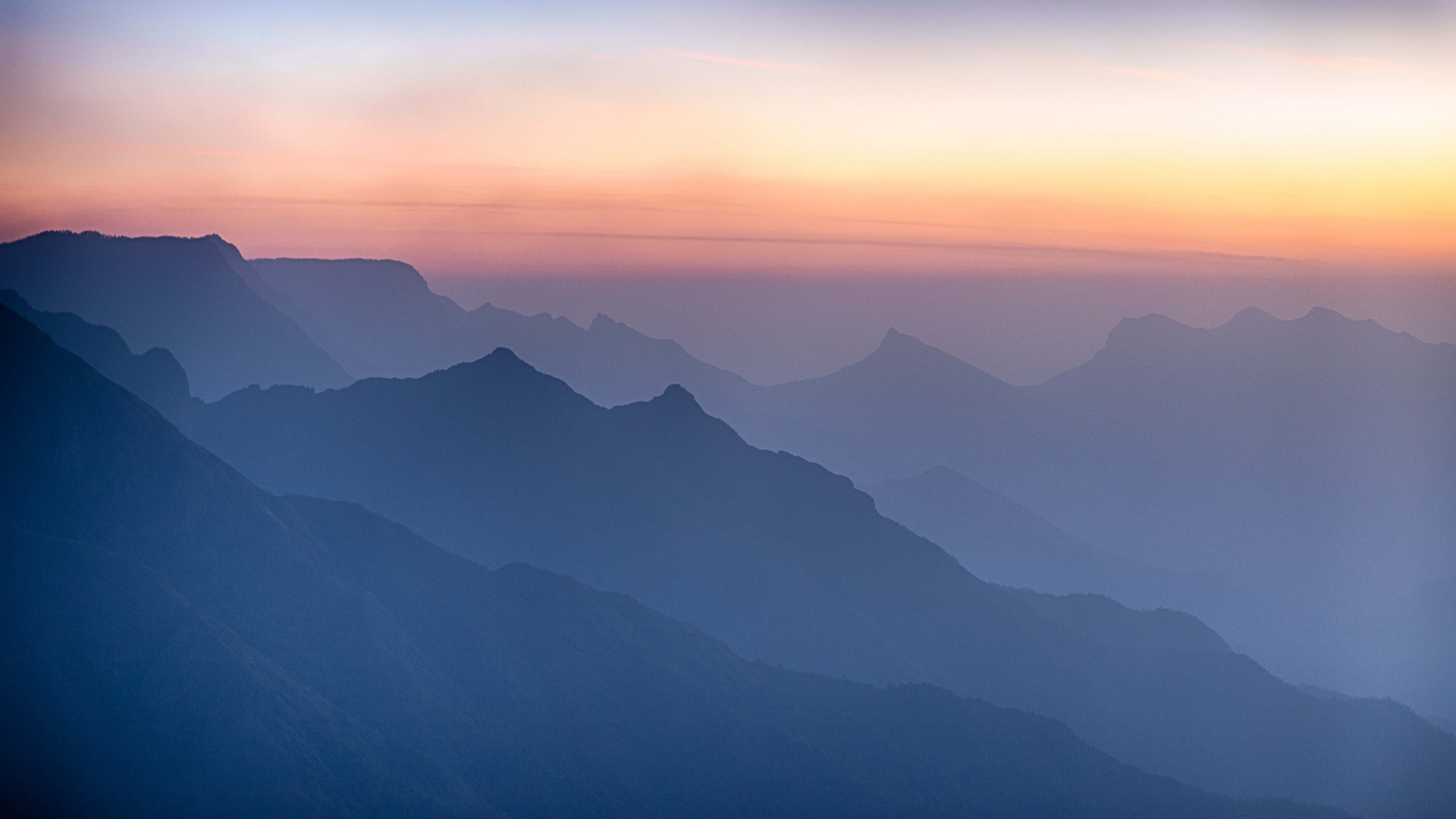 Shades of Kolukkumalai / Indien