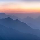 Shades of Kolukkumalai / Indien