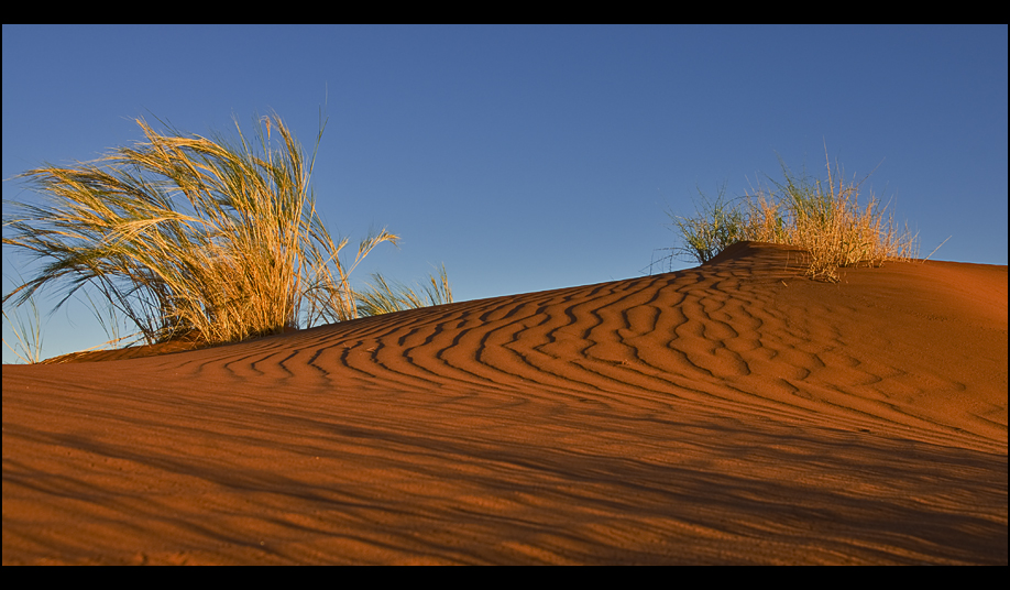 shades of sand