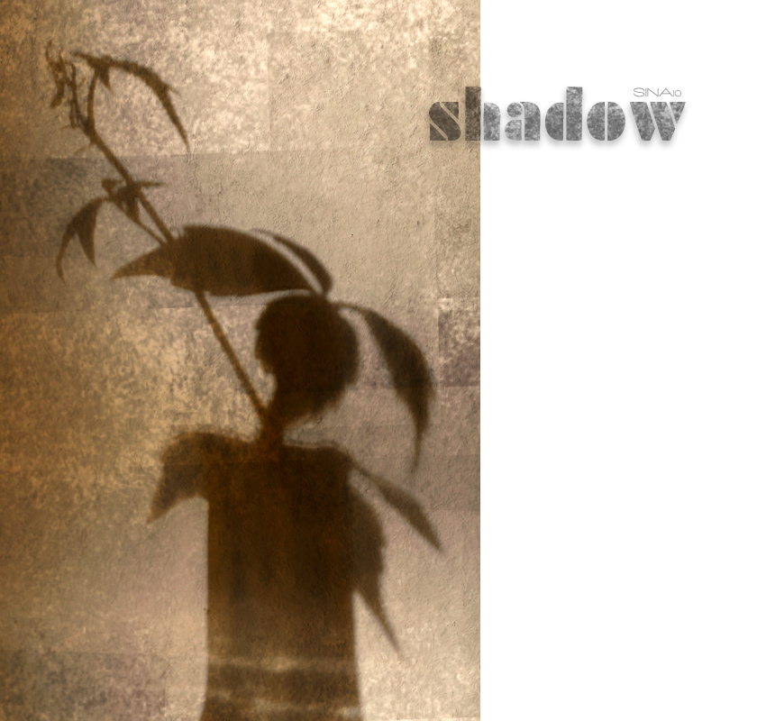 shadow