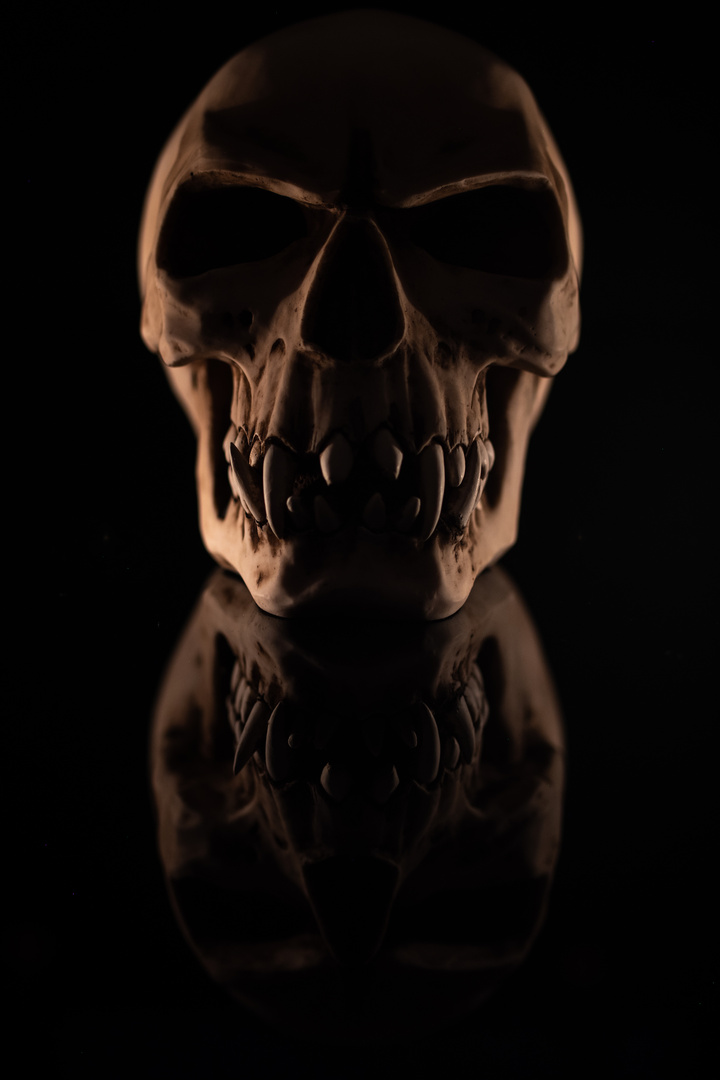 shadow and skull