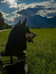 Shadow in den  Bergen