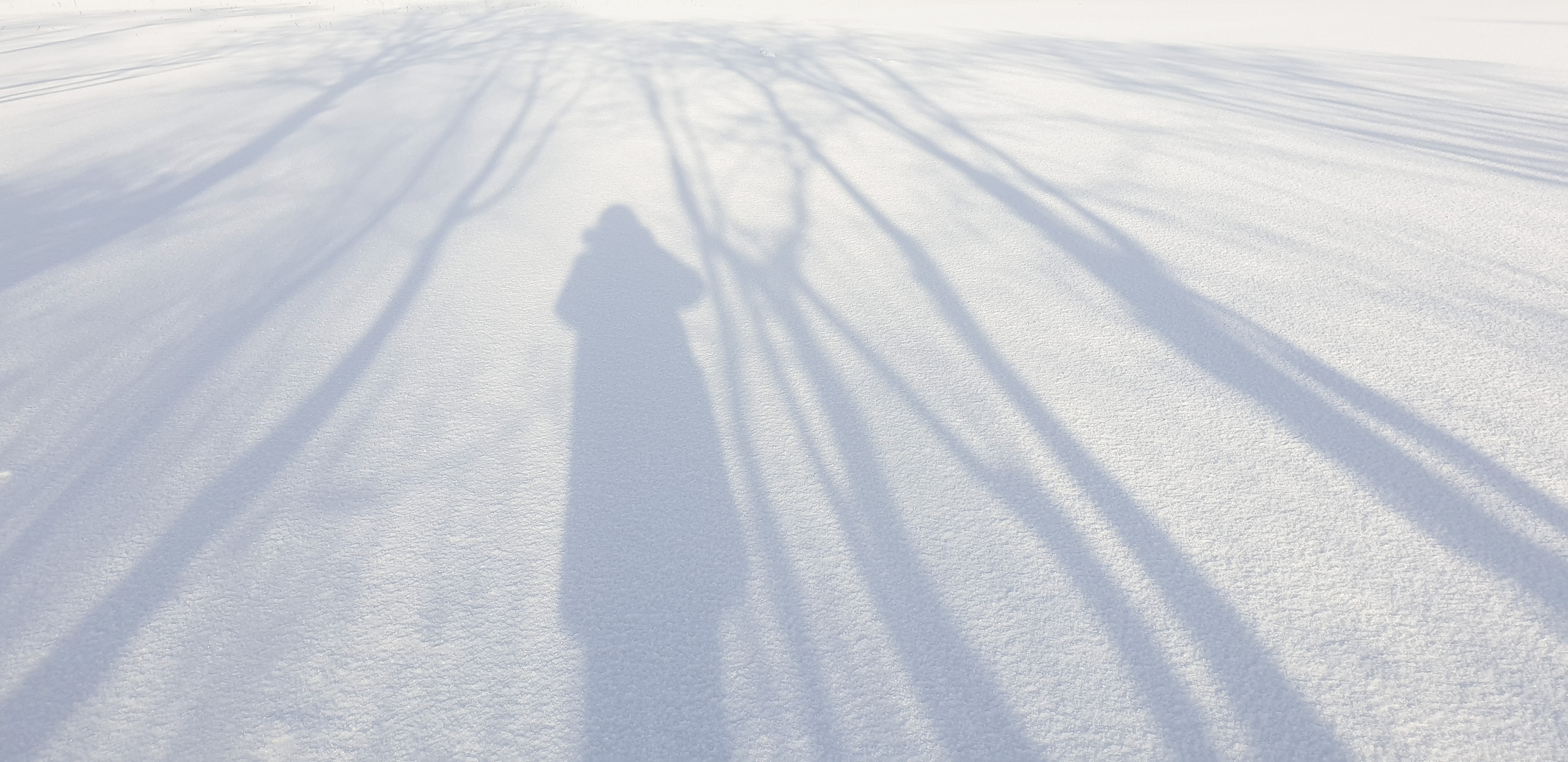 Shadow in the Snow