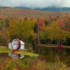 Shadow Lake