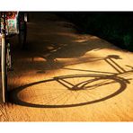 shadow of a rickshaw