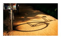 shadow of a rickshaw