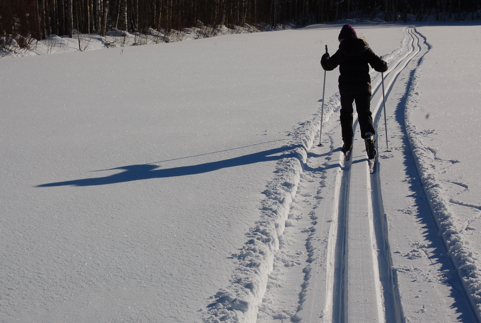 shadow of skier