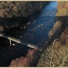 shadow of the lambley viaduct