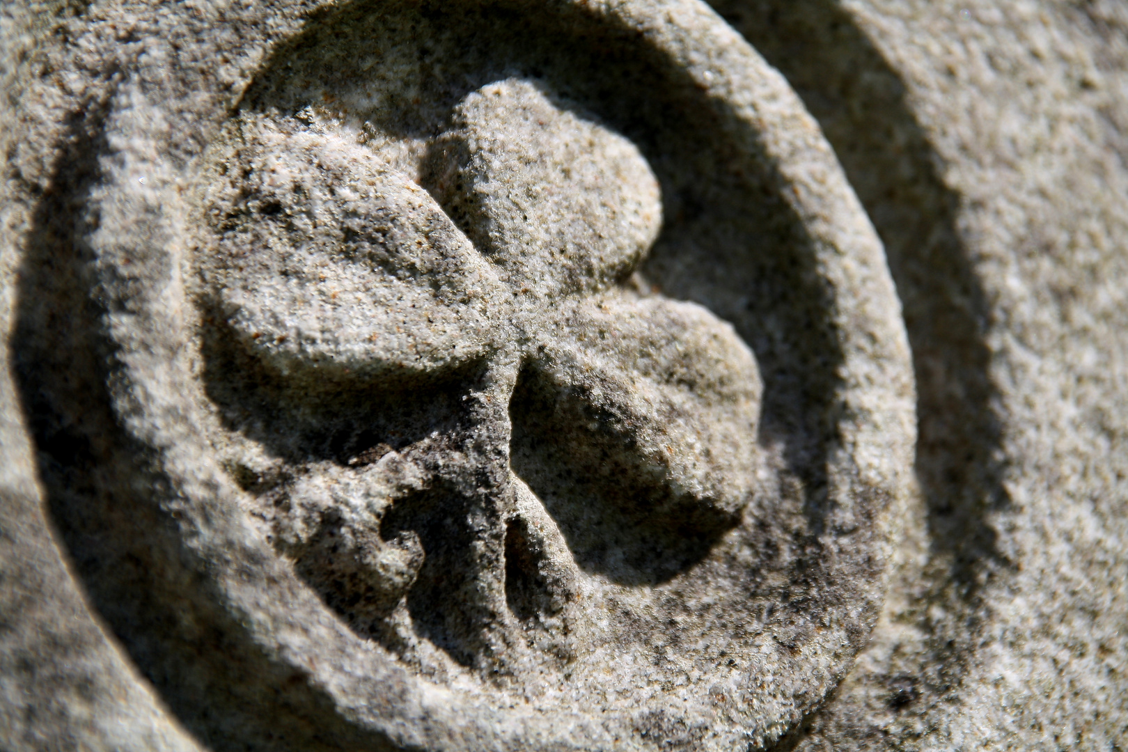 Shadow of the shamrock