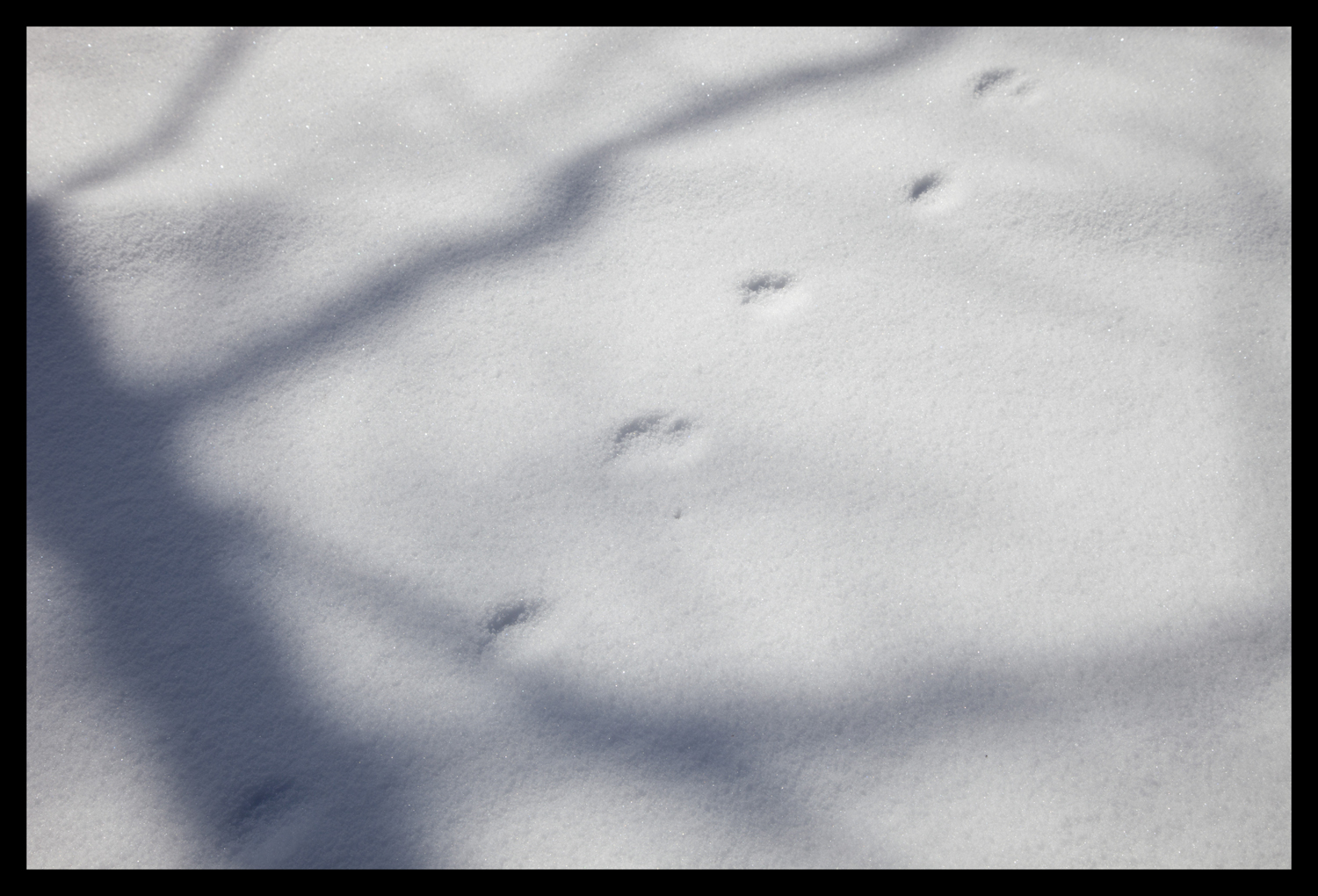 Shadow on snow-2