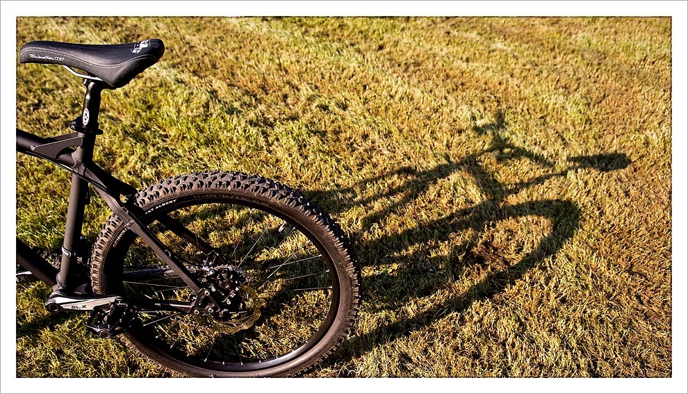 Shadow On The Grass