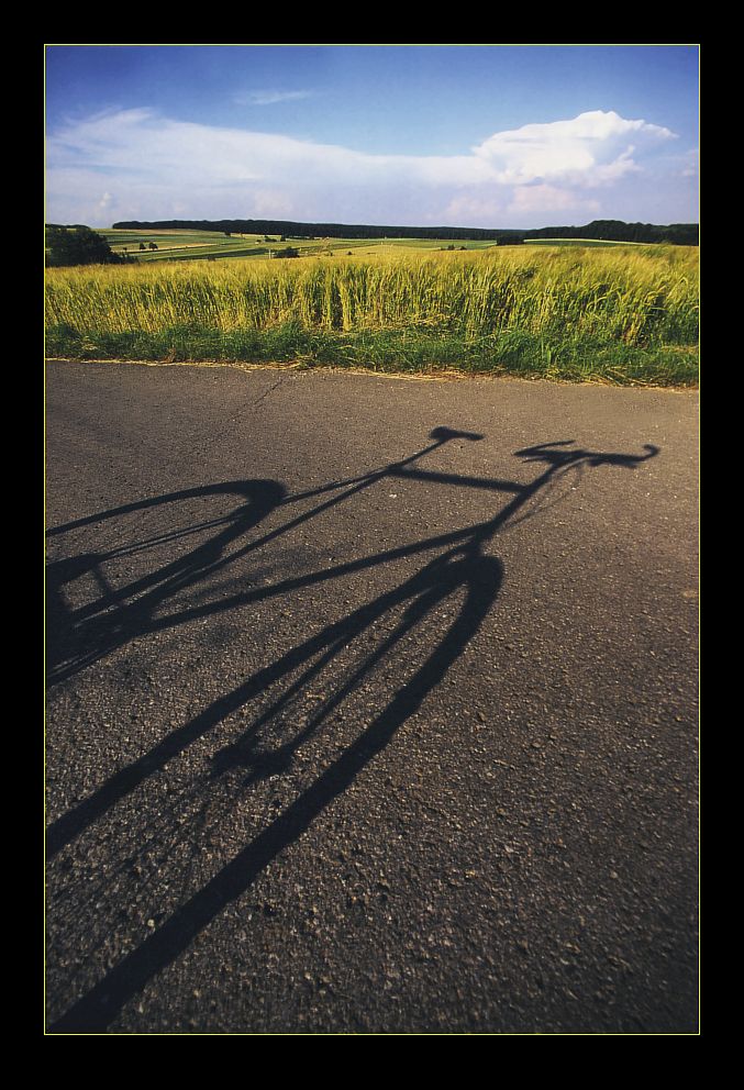 Shadow on the ground