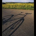 Shadow on the ground