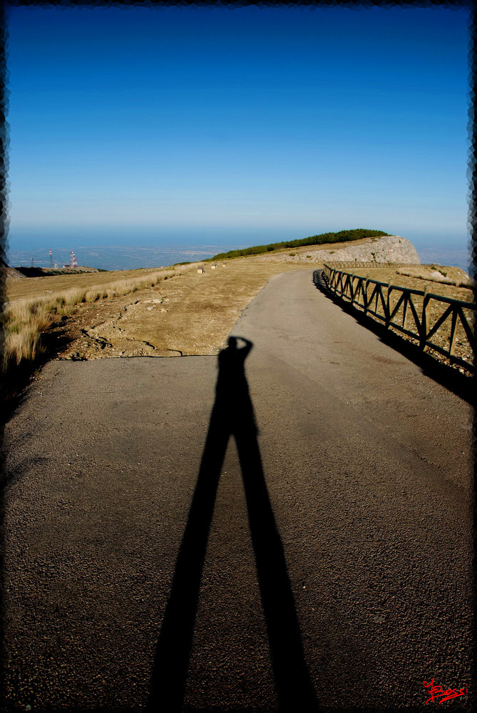 Shadow On The Road...