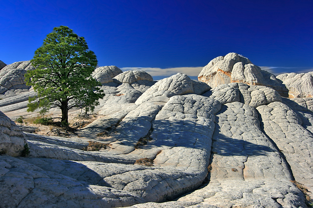 Shadow on the Rock