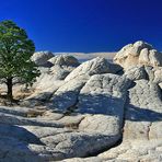 Shadow on the Rock