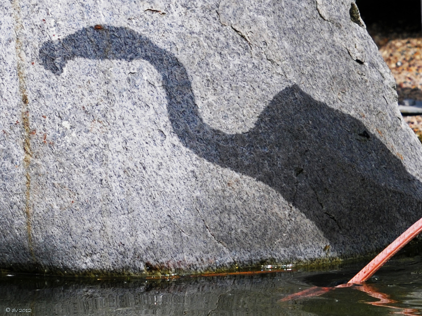 Shadow on the stone