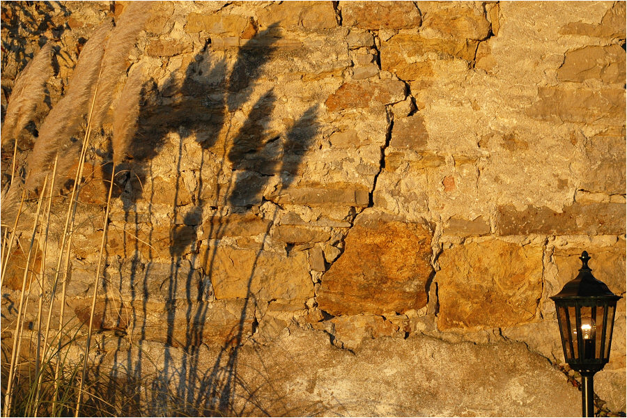 shadow on the wall