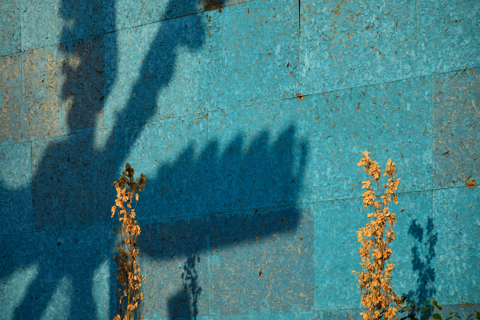 shadow on the wall