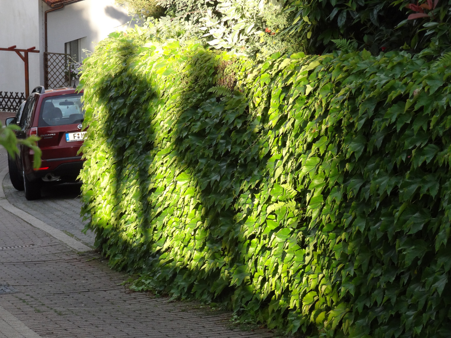 Shadow on the Wall