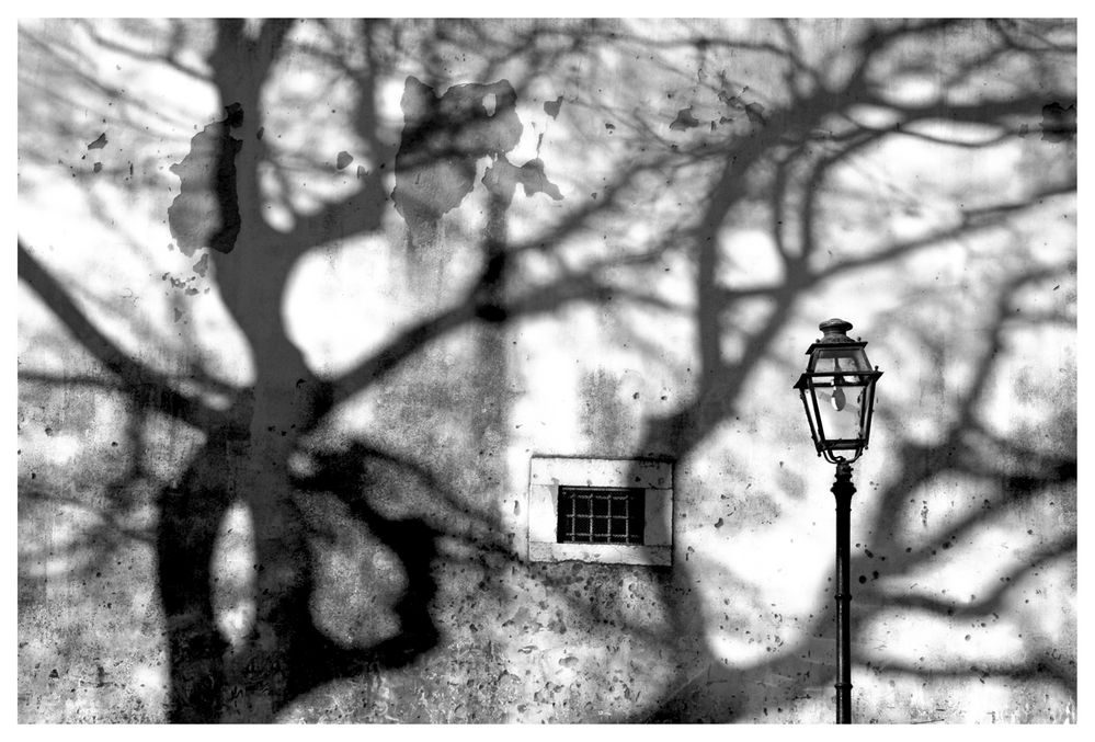 shadow on the wall von melaverde 