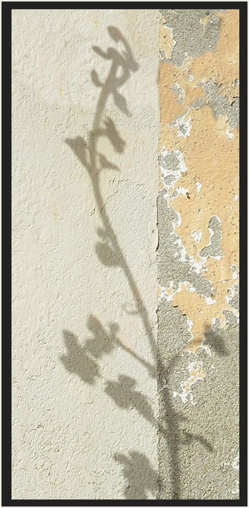 Shadow on the wall