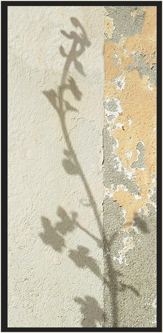 Shadow on the wall