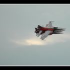 Shadow - Patrouille Suisse