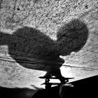shadow skater