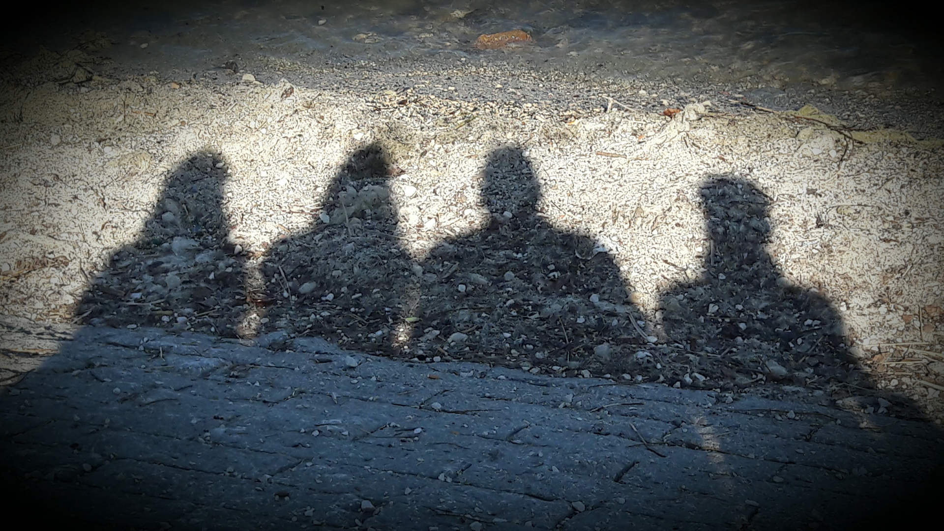 Shadow, was ich da am Bodensee