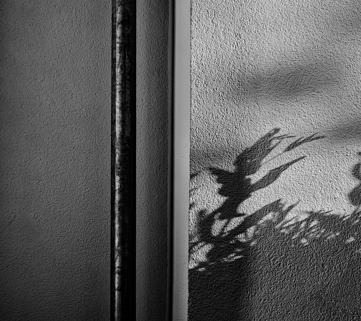 shadow.play