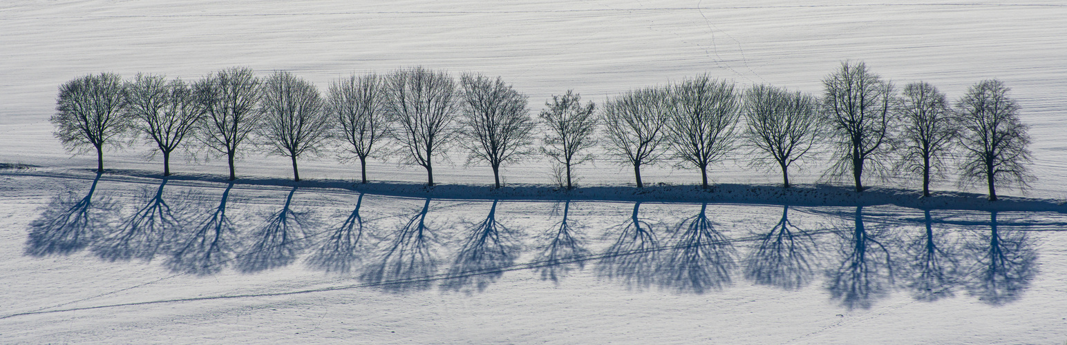 Shadows