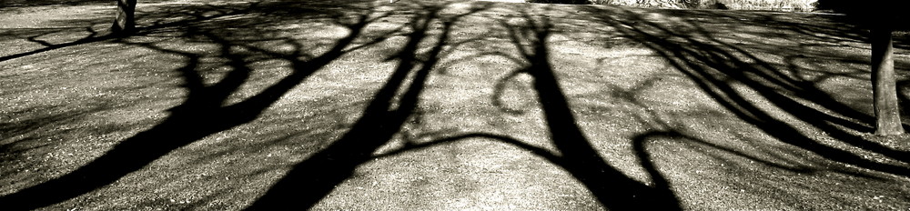 Shadows #1