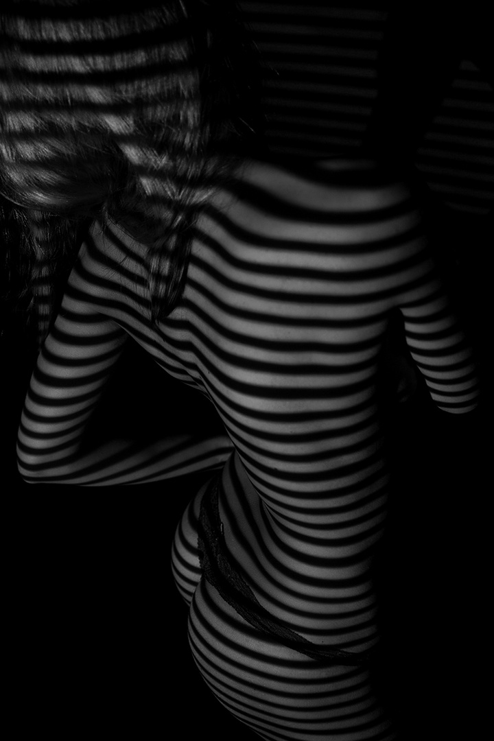 Shadows-1